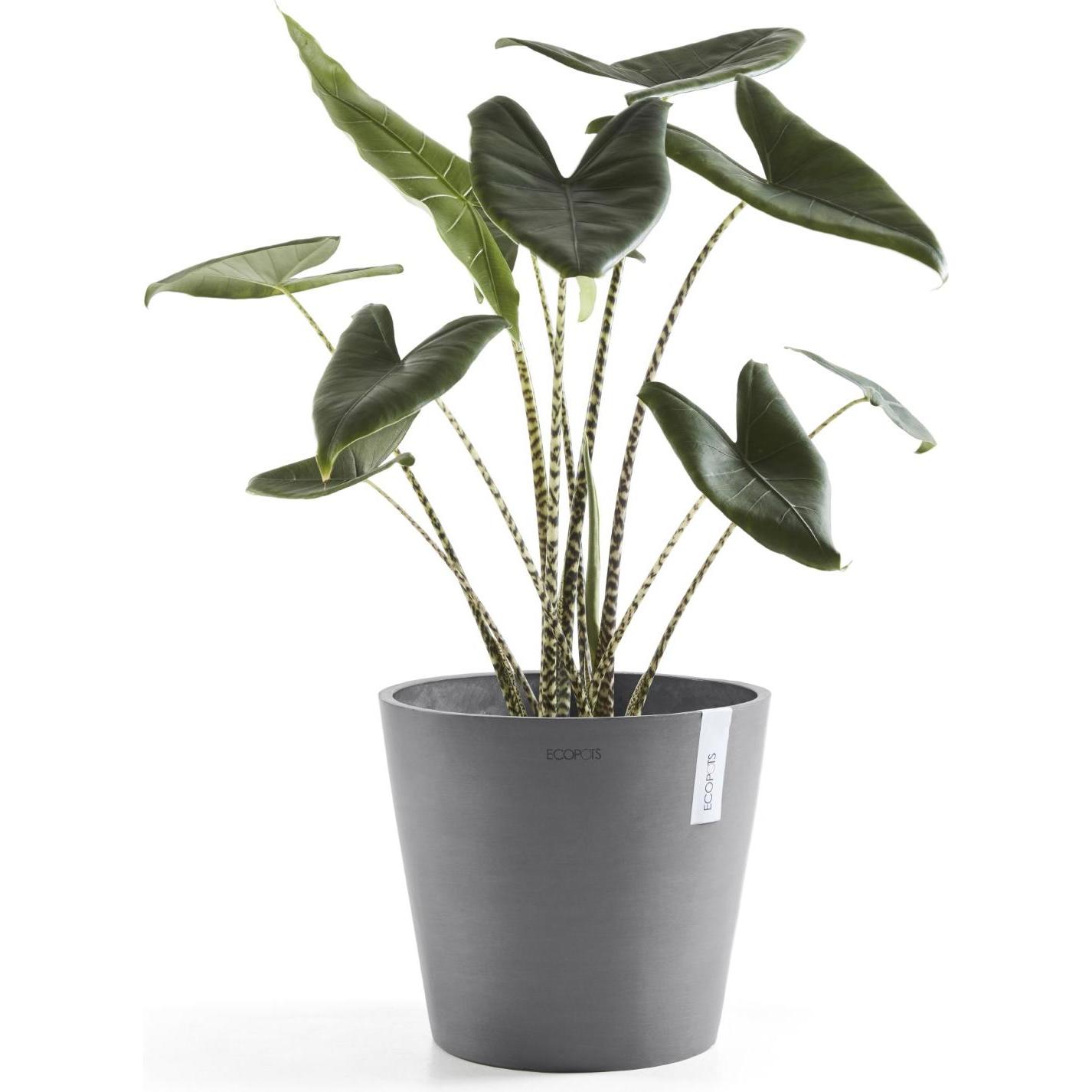 Thumbnail - Ecopots, Blumentopf, Amsterdam + Wasserbehälter (30 cm)