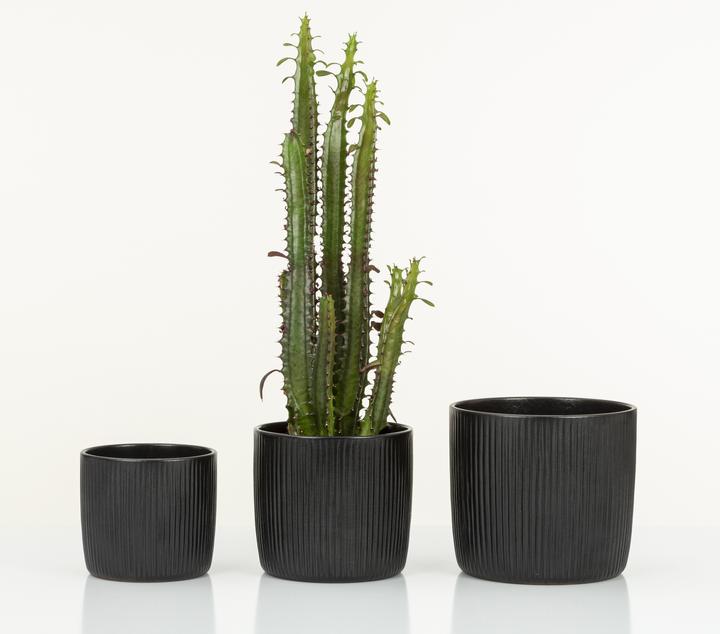 Produktbild Scheurich Solido Linea (15 cm)