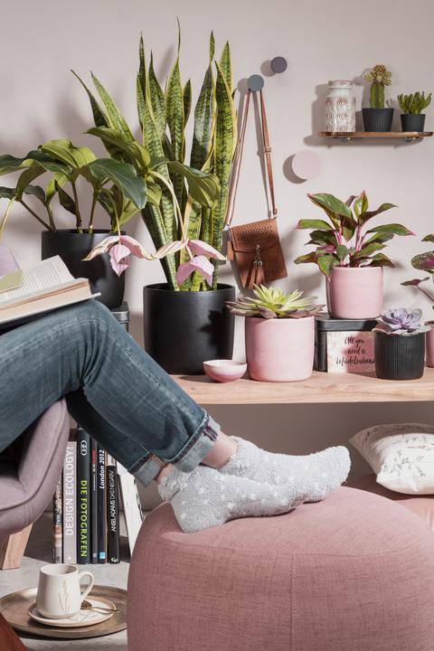 Produktbild Scheurich Solido (21 cm)