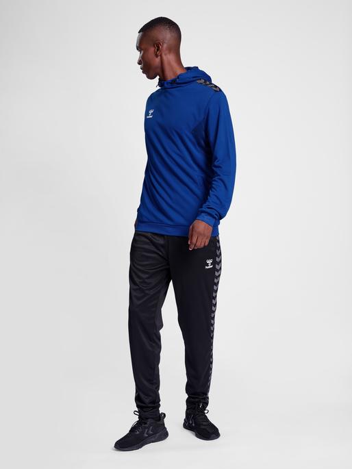 Actual product image hummel Hmlauthentic Pl Hoodie (L)