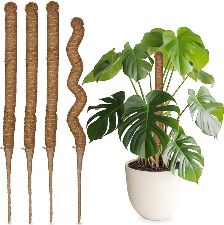 Immagine prodotto Relaxdays Kokosstäbe-Set (3 cm, 3 cm)