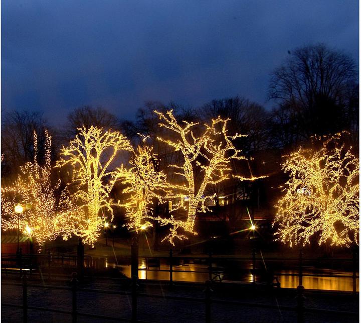 Image du produit Star Trading Icicle (3 m)