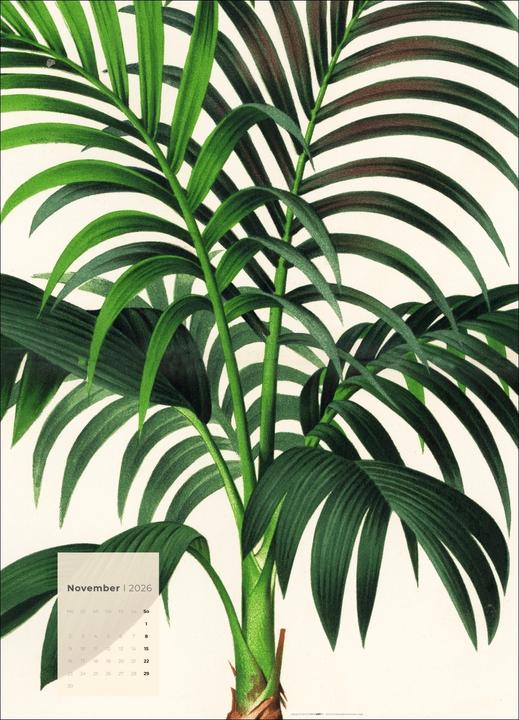 Produktbild Botanicals Kalender 2026 (49 x 68 cm)