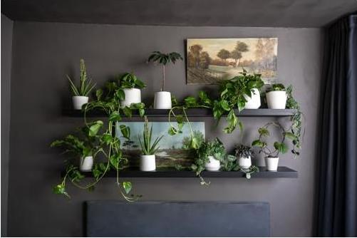 Produktbild Pottery Pots Julia L (16.50 x 17 cm)