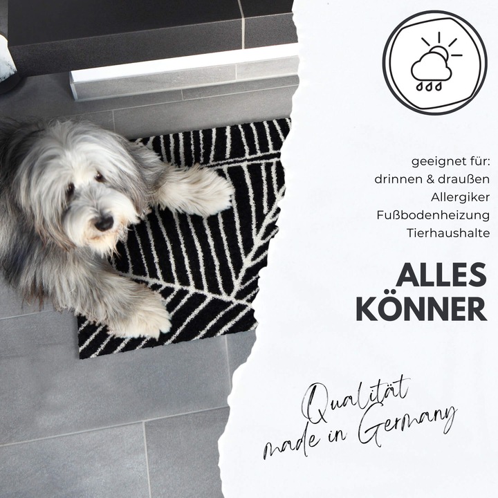 Actual product image Salonloewe Doormat uni (60 x 85 cm)