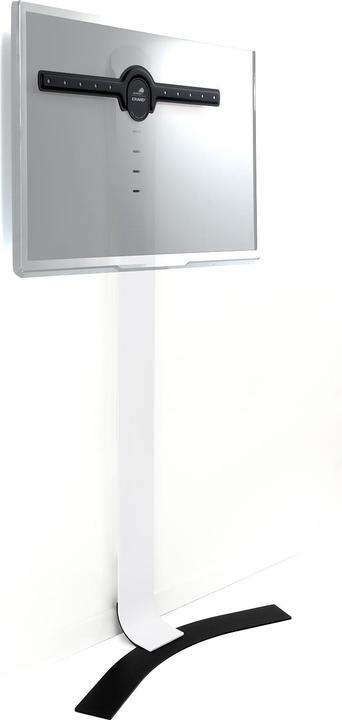 Actual product image Erard Standit 600 (Wall, 85", 45 kg)