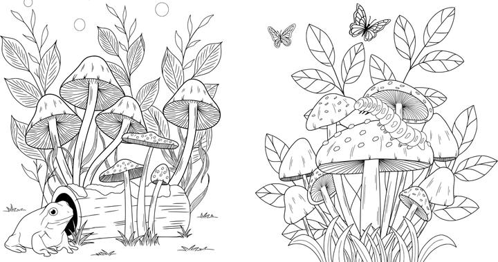 Produktbild Faszinierende Pilze