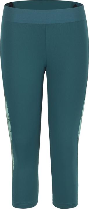 Actual product image Directalpine Moab Lady 3/4 1.0 trousers (M)