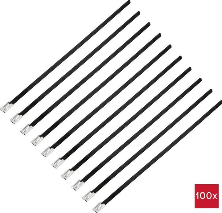 Immagine prodotto Tru Components TC-12656592 Fascetta in acciaio 200 mm 4,6 mm AISI 316 con rivestimento (200 mm, 100 pz.)