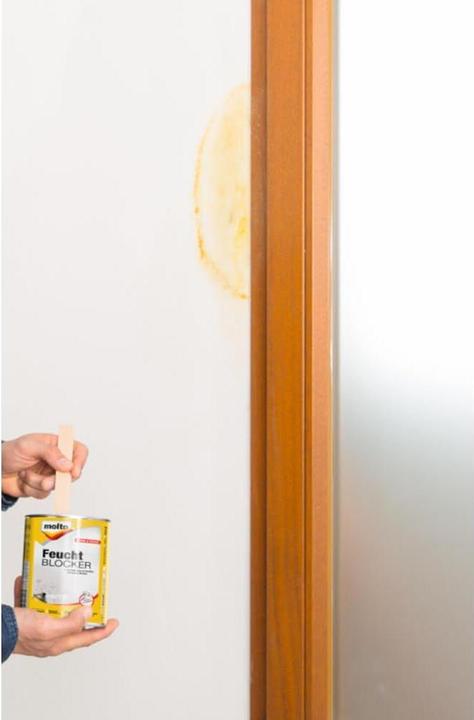 Actual product image Molto Moisture Blocker