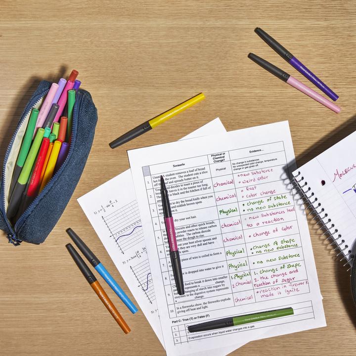 Produktbild Paper Mate Faserschreiber (12x)