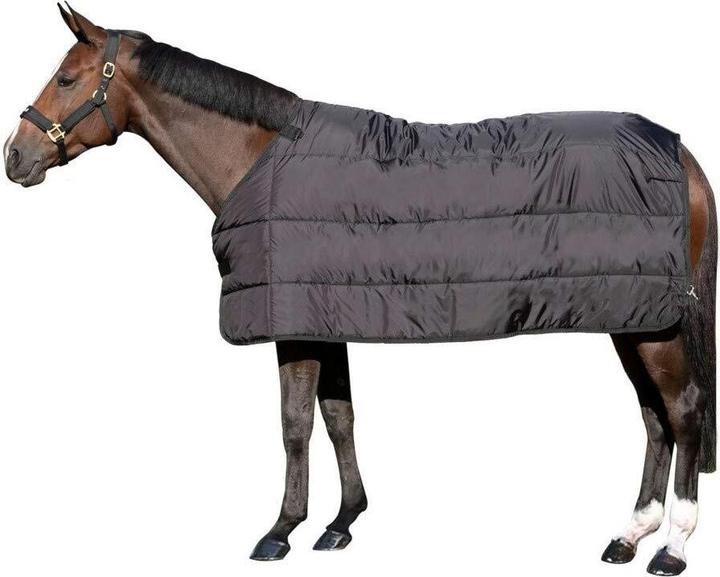 Actual product image Back on Track Felix 200gr (115 cm)