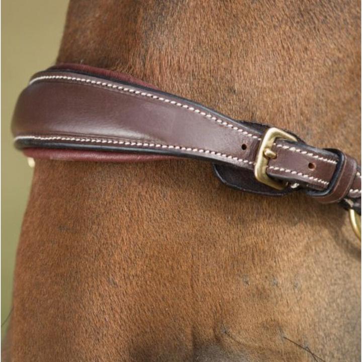 Actual product image HFI Master German