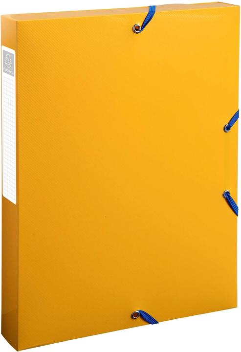 Image du produit Exacompta BeeBlue (A4)