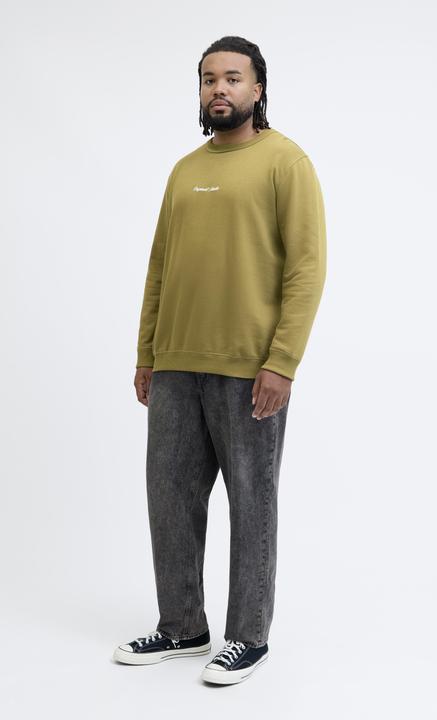 Actual product image Jack & Jones Plus Size Sweatshirt Sweatshirt (4XL)