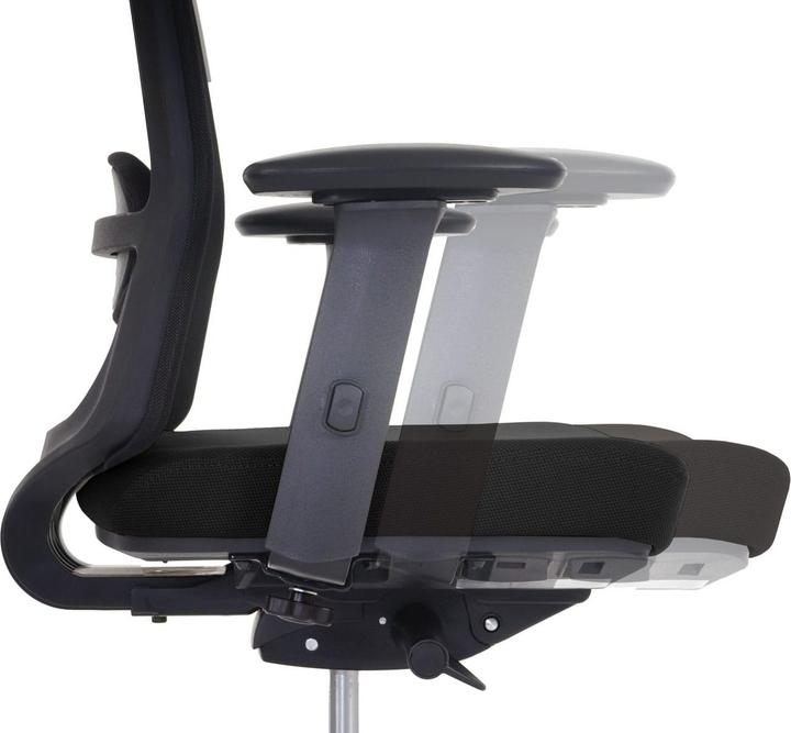 Produktbild Merryfair Forte (42 - 50 cm)