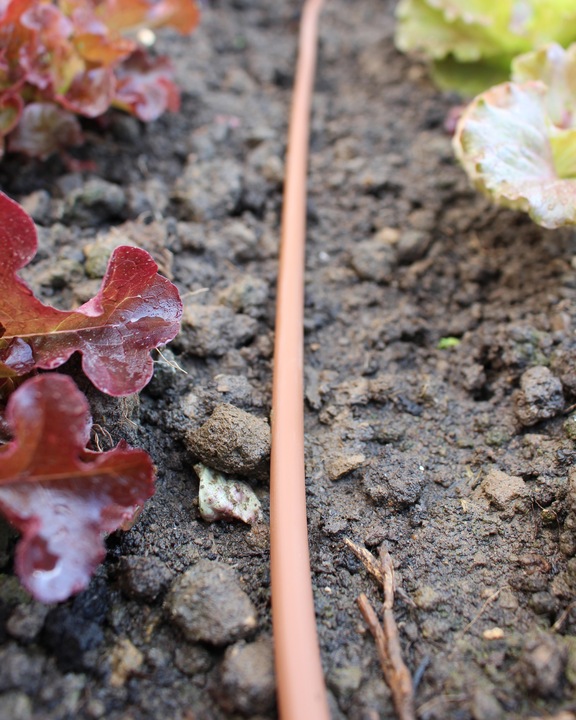 Elgo Drip tube for raised bed and cold frame (DP15)