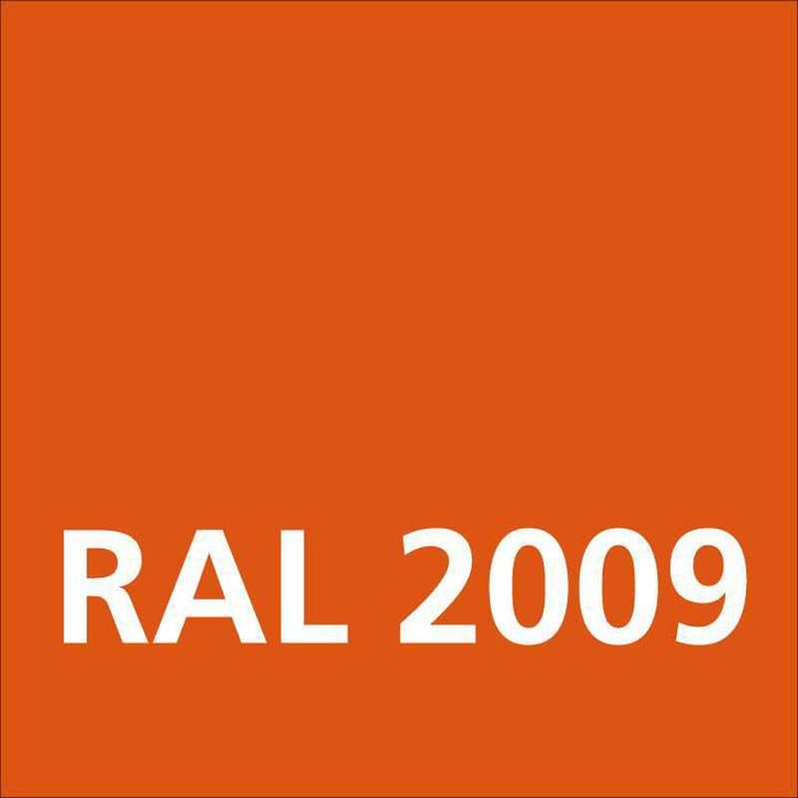 Actual product image Dupli-Color Glossy acrylic paint RAL 2009 traffic orange (Traffic orange, 0.40 l)