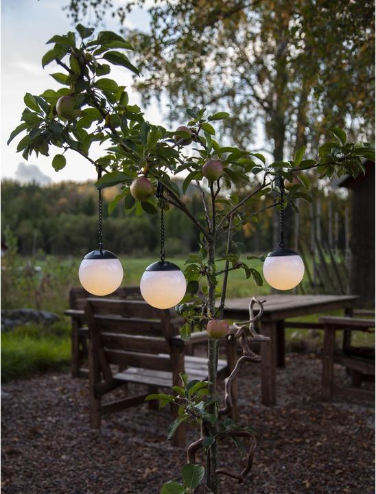 Image du produit Star Trading Globus (IP44)