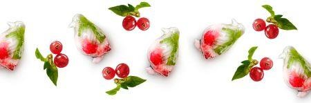 Actual product image Lékué Ice Cubes