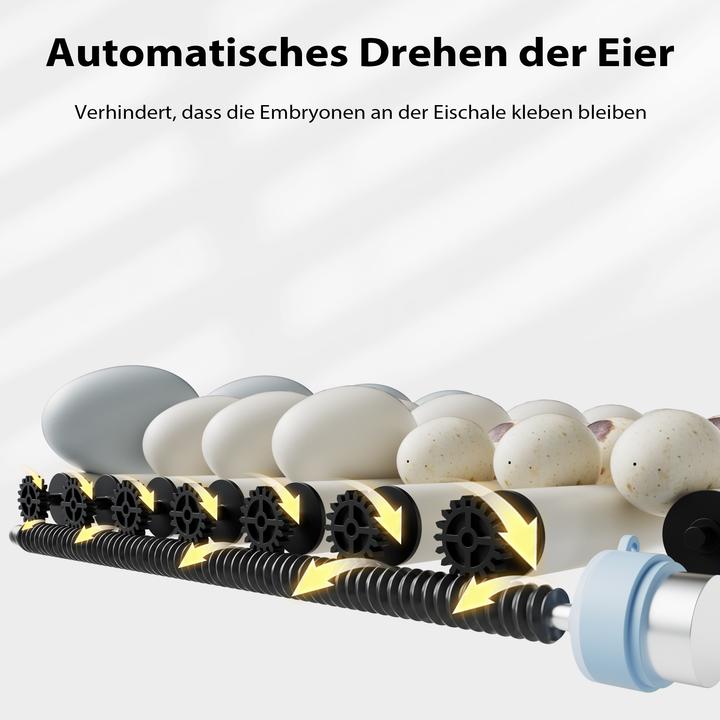 Actual product image Fudajo Eggs incubator