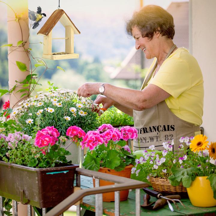 Produktbild Relaxdays Vogelfutterhaus