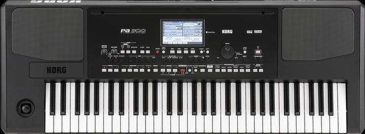 Korg Clavier PA300 noir avec adaptateur secteur (61 Boutons)