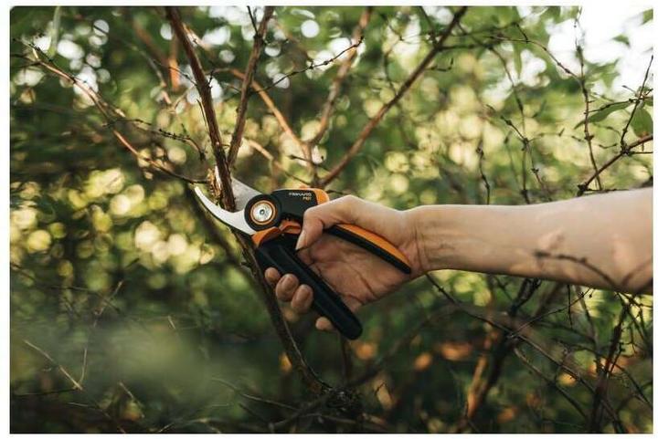Image du produit Fiskars M P921 Sécateur de branches en dérivation /Orange