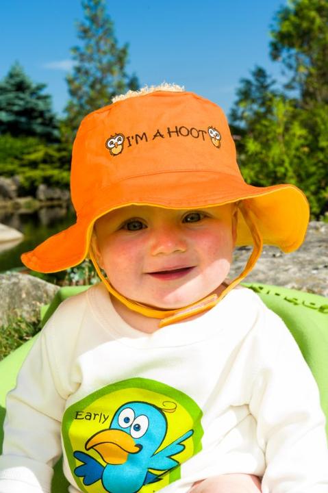 Immagine prodotto flapjackkids Gufo e uccello (52)