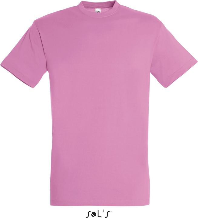 Actual product image Sol's Regent (M)