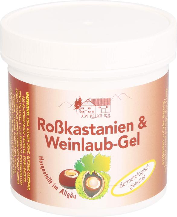 Actual product image Axisis Horse chestnut & vine leaf gel (Body gel, 250 ml)