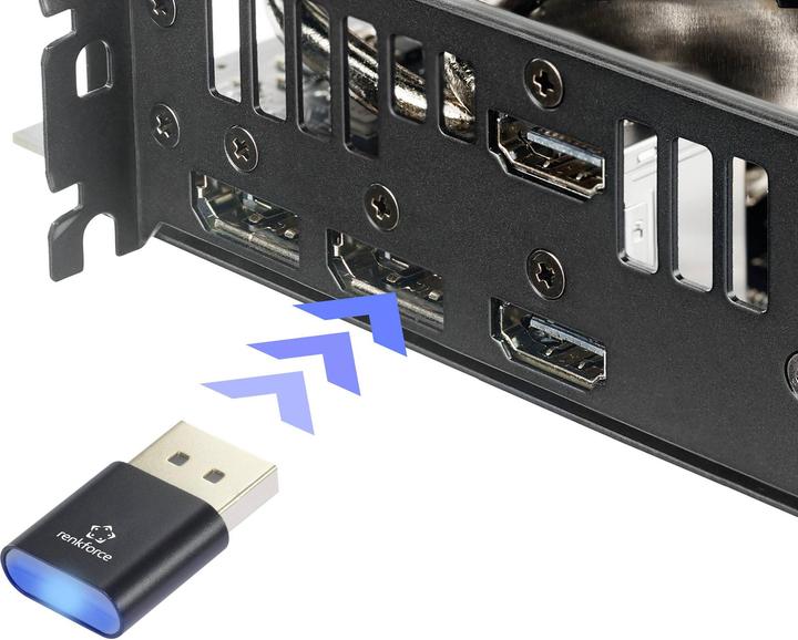 Image du produit Renkforce Display Adapter, Virtual DP Emulator (EDID), 4K DisplayPort DisplayPor (3.20 cm)