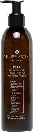 Immagine prodotto Philip Martin's Gel Gel 250ml (Gel per capelli, 250 ml)