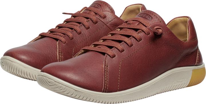 Conchiglia tartaruga