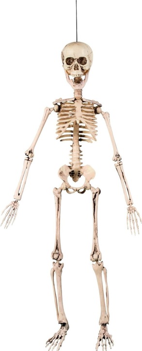 Actual product image Fasnacht Movable skeleton