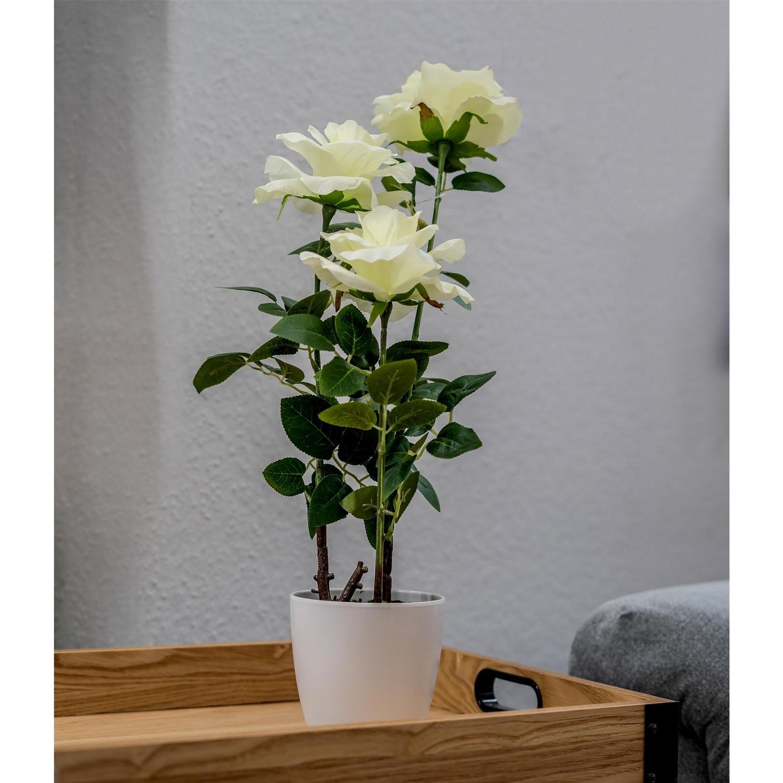 Thumbnail - NTK-Collection, Kunstpflanzen, Kunstblume Rosen im Topf (48 cm)