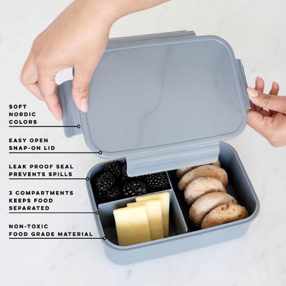 Actual product image 3 Sprouts Lunch box