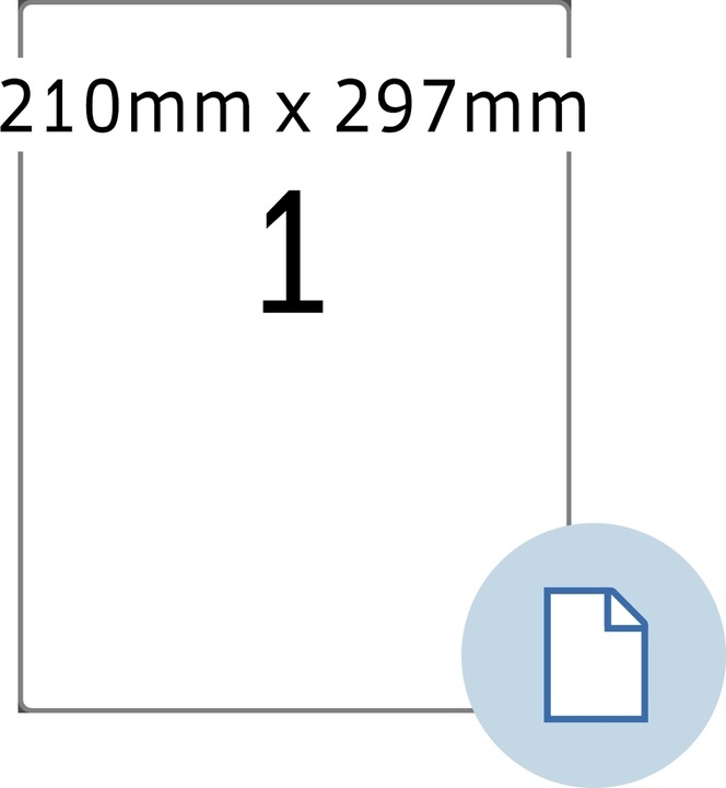250 x