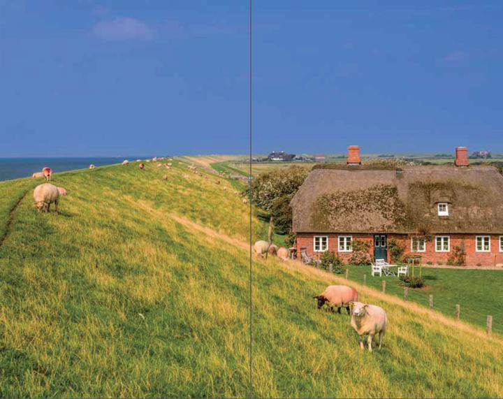 Actual product image Eine Halligfahrt (German, Theodor Storm, 2018)