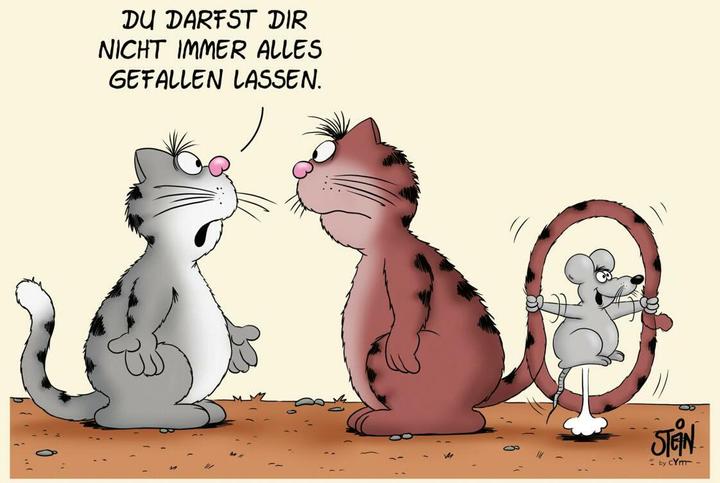 Produktbild Stein:Alles für die Katz(e) (Uli Stein (Deutsch, Uli Stein, 2024)