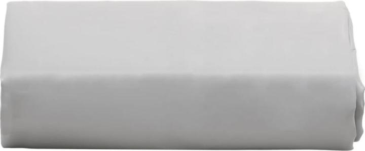 Produktbild vidaXL Plane (4.50 x 2.50 m)