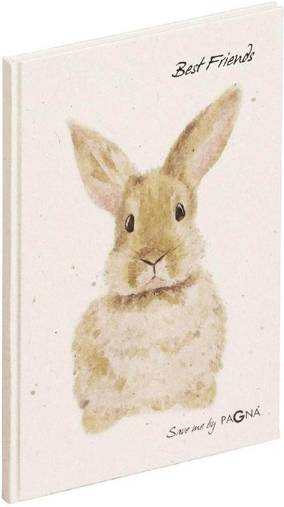 Produktbild Pagna Freundebuch Hase Save me No. 4 (22 x 15 cm)