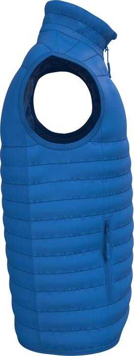 Image du produit iDeal Basic New (XXL)