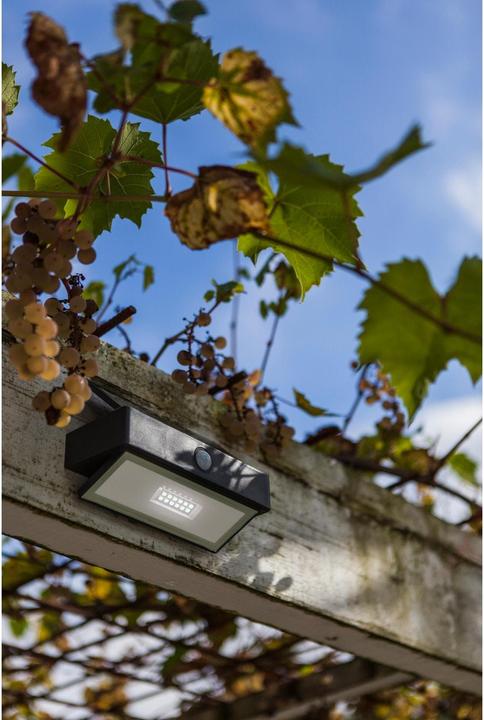 Actual product image Lutec Arrow (180 lm, IP44)