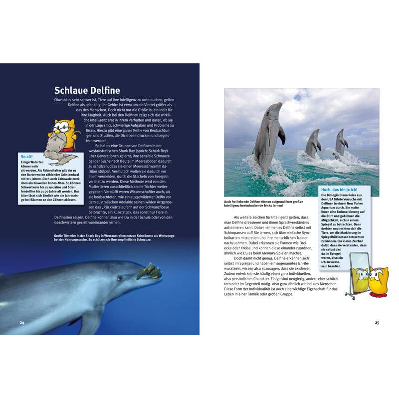 Thumbnail - Entdecke die Delfine, Kinderbücher von Kim Cornelius Detloff