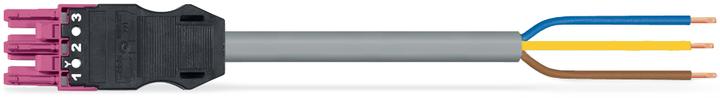 Actual product image Wago confect. Connection cable (4 m)