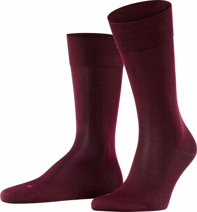 8596 barolo