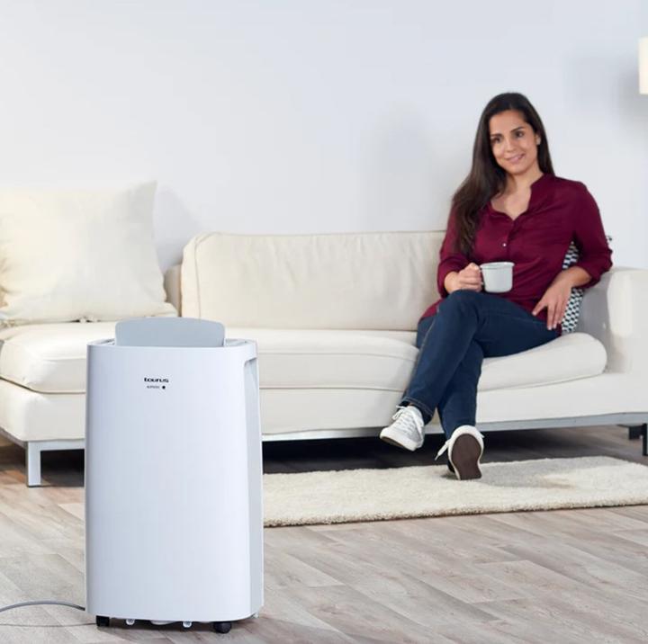 Image du produit Taurus DH2201 (45 m², 21.60 l/24h)