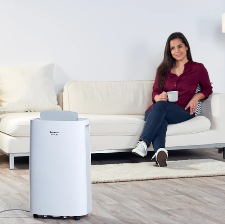 Produktbild Taurus DH2201 (45 m², 21.60 l/24h)