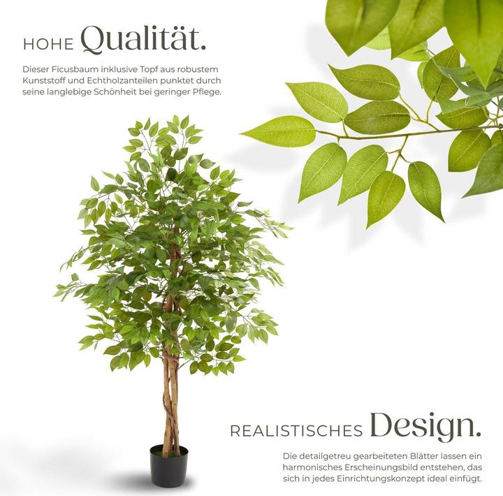 Image du produit tectake Ficus Fida (160 cm)